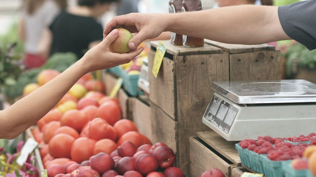 Illustration - Aide alimentaire : nouveau dispositif, vieux problème