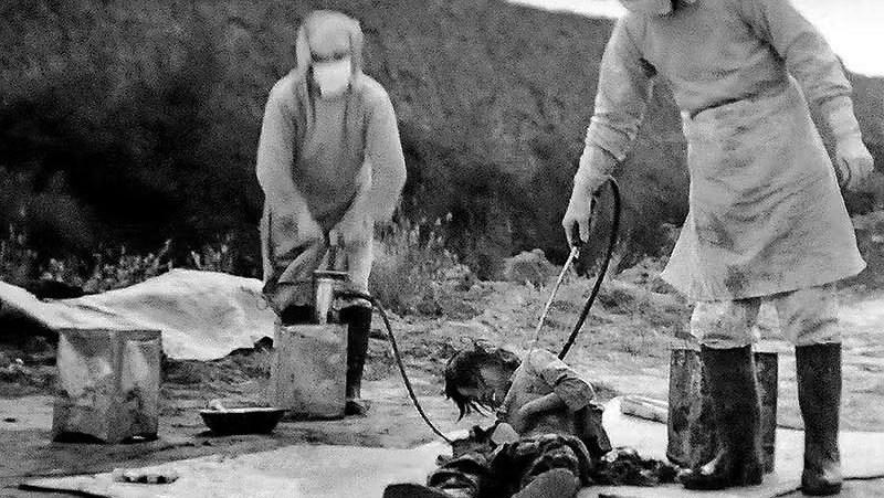 Illustration - un laboratoire pour les militaires