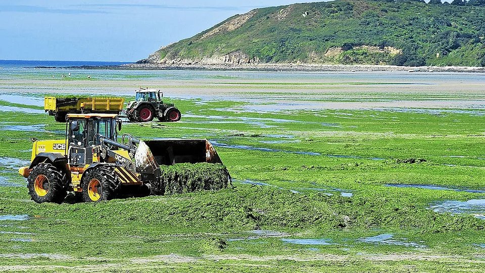 Illustration - L'État enfin reconnu coupable
