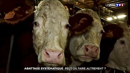 Illustration Détourner la colère vers des voies… d’étable