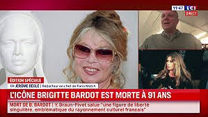 Illustration - Une icône de conformisme