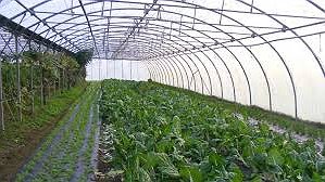 Illustration Des saisonniers marocains en grève pour toucher leur paye !