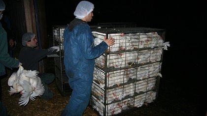 Illustration Des esclavagistes condamnés