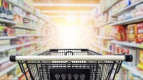 Illustration Contre les requins, union des petits poissons !