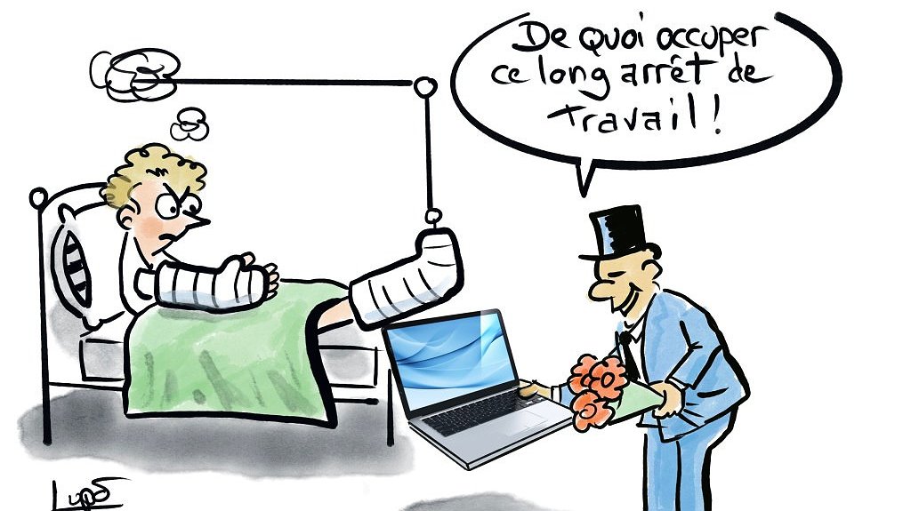 Illustration - Les rapaces
