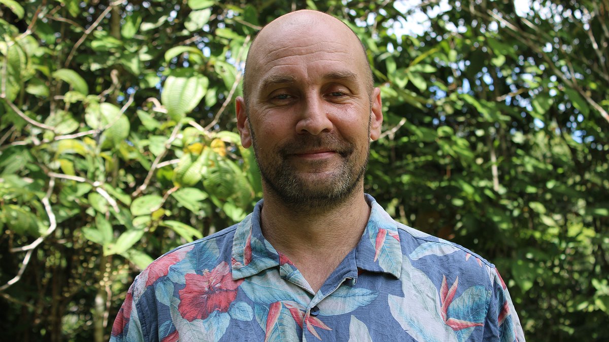 Illustration - Kourou