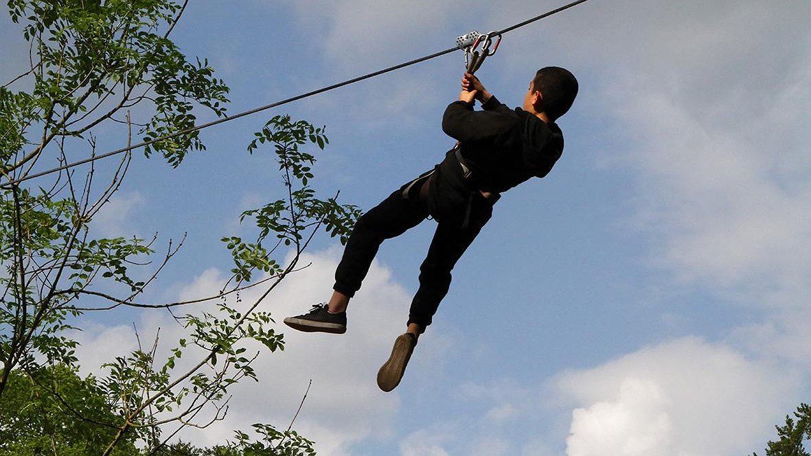 Illustration - Le parcours dans les arbres