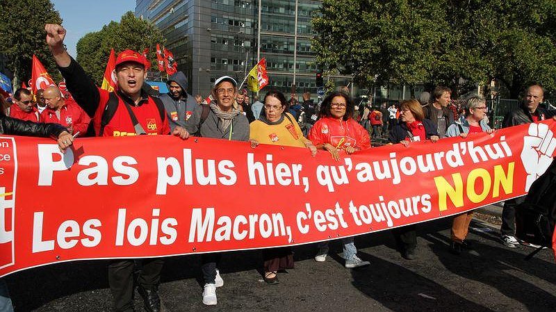 Illustration - adoptées ou pas, le combat continue