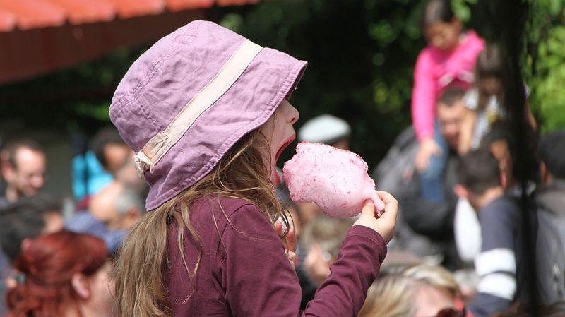 Illustration - Fêtes régionales de Lutte ouvrière