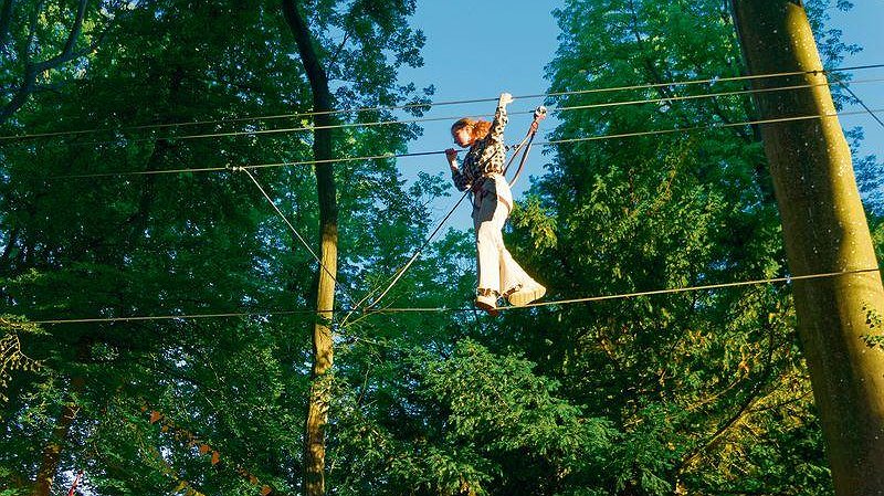 Illustration - Parcours dans les arbres