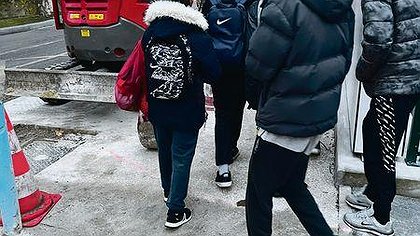 Illustration article