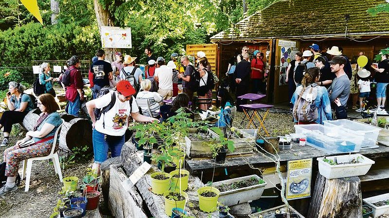 Illustration - L’Arboretum