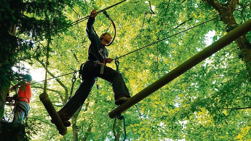 Illustration - Parcours dans les arbres