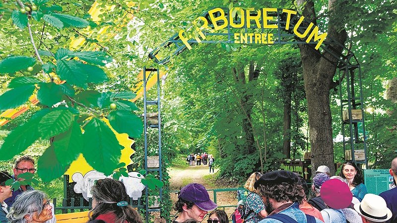 Illustration - L’Arboretum