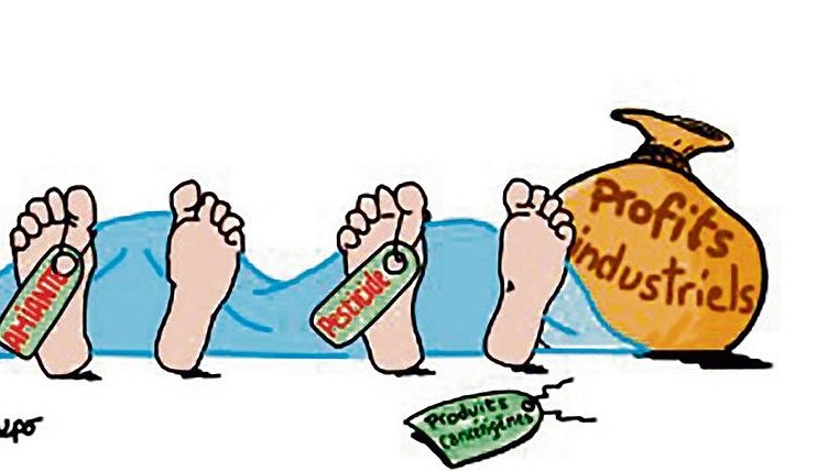 Illustration - un bilan catastrophique