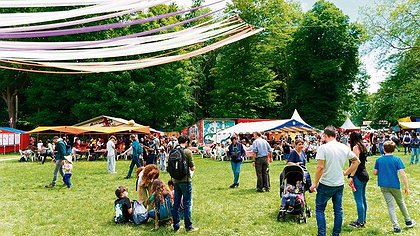 Illustration article