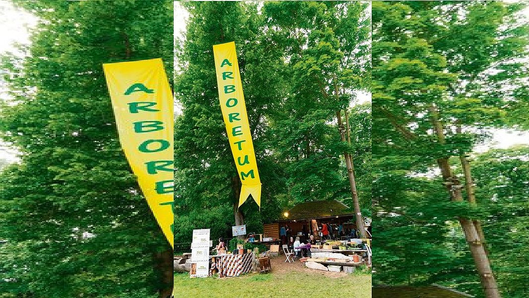 Illustration - L’Arboretum