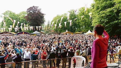 Illustration article