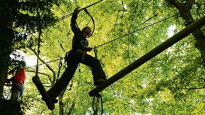 Illustration article