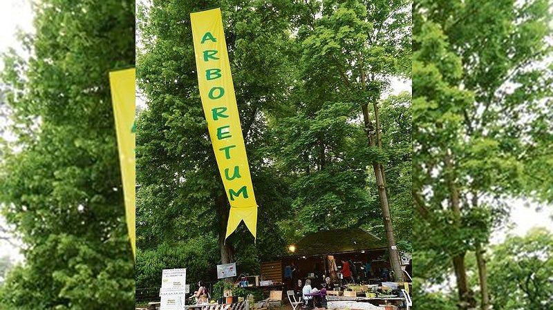 Illustration - L’Arboretum