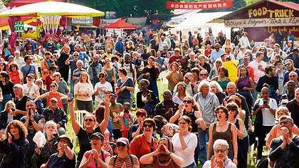 Illustration article