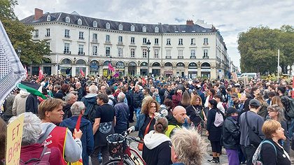 Illustration article