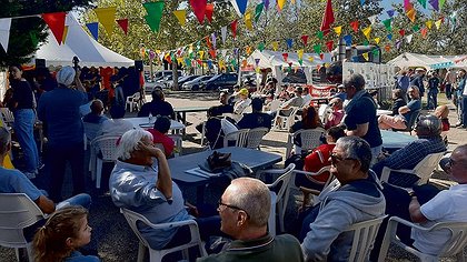 Illustration article