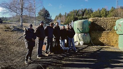 Illustration concurrence et loi de la jungle