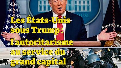 Illustration article