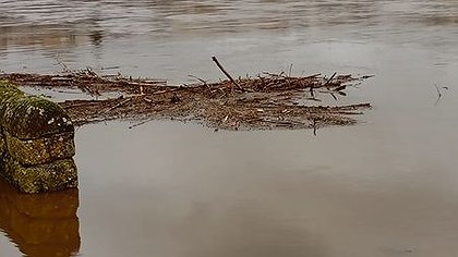 Illustration article