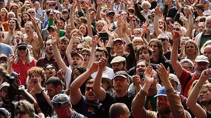 Illustration article