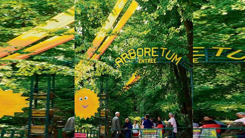 Illustration - Arboretum
